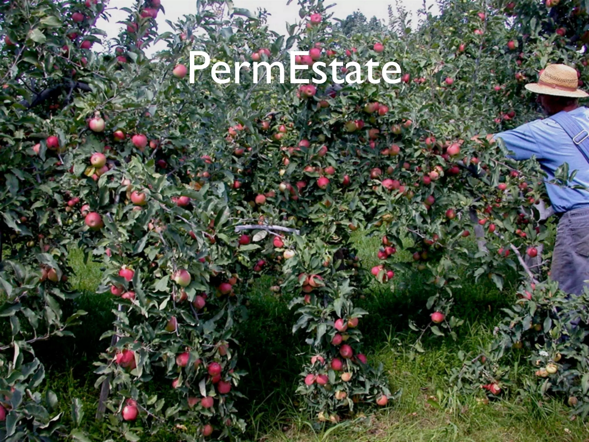 Financial Permaculture & Ecosystem Investing