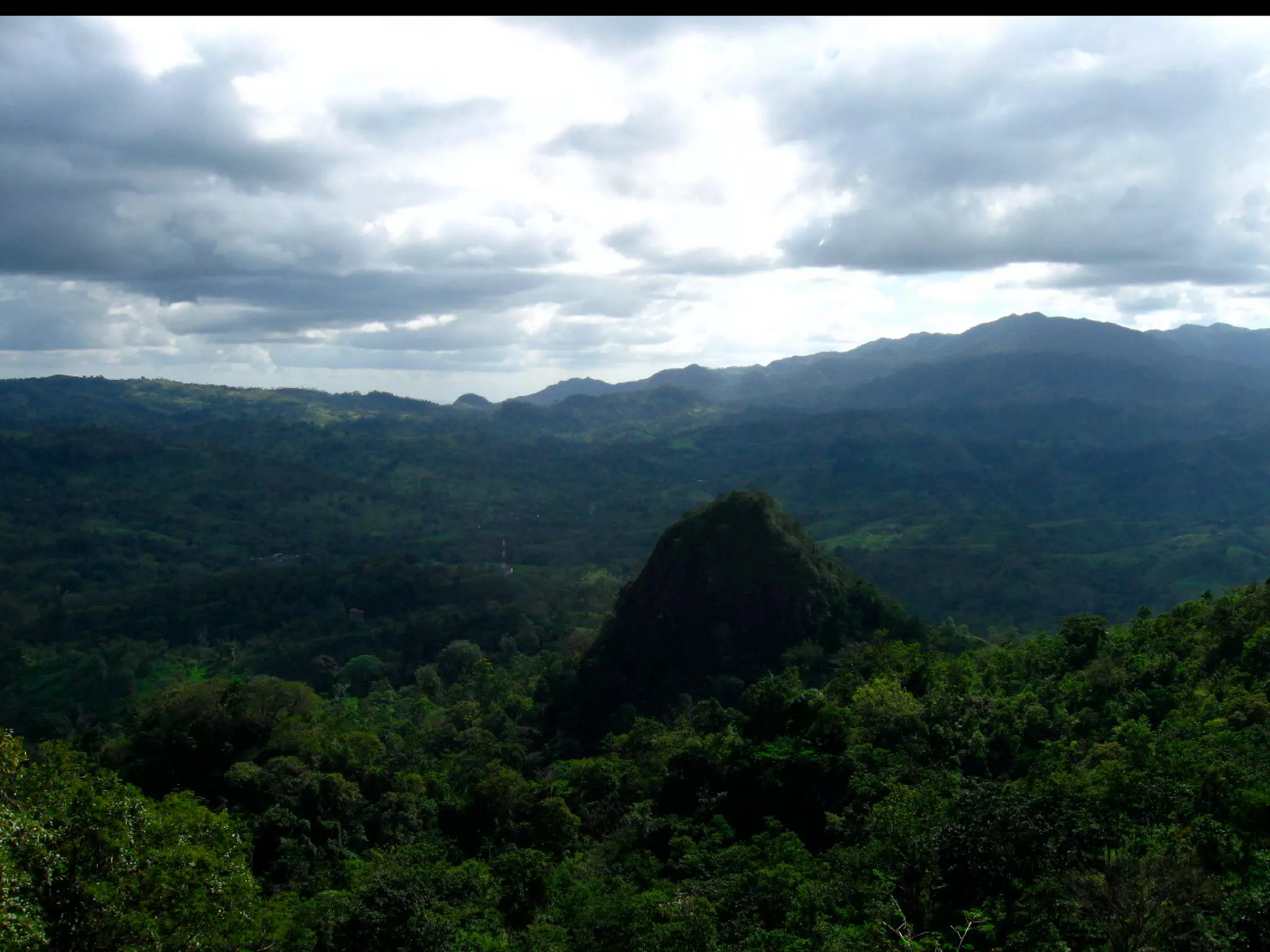 Financial Permaculture & Ecosystem Investing