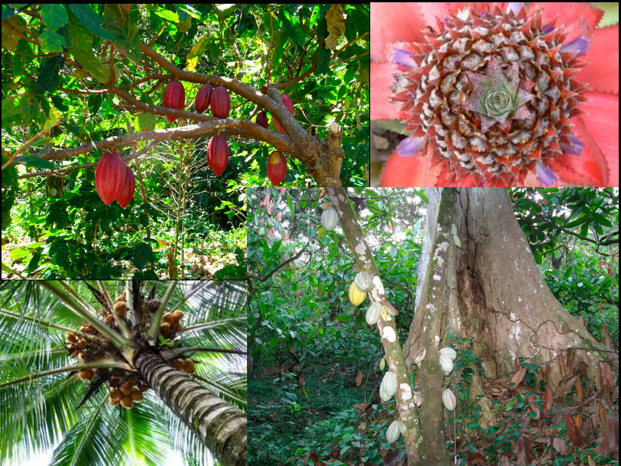 Financial Permaculture & Ecosystem Investing