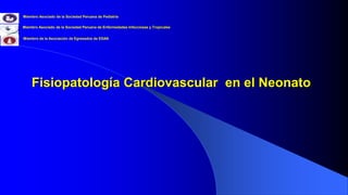 Fisiopatología Cardiovascular en el Neonato
Miembro Asociado de la Sociedad Peruana de Pediatría
Miembro Asociado de la Sociedad Peruana de Enfermedades Infecciosas y Tropicales
Miembro de la Asociación de Egresados de ESAN
 
