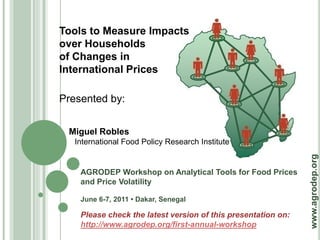 Tools to Measure Impacts
over Households
of Changes in
International Prices

Presented by:


 Miguel Robles
   International Food Policy Research Institute




                                                               www.agrodep.org
    AGRODEP Workshop on Analytical Tools for Food Prices
    and Price Volatility

    June 6-7, 2011 • Dakar, Senegal

    Please check the latest version of this presentation on:
    http://www.agrodep.org/first-annual-workshop
 