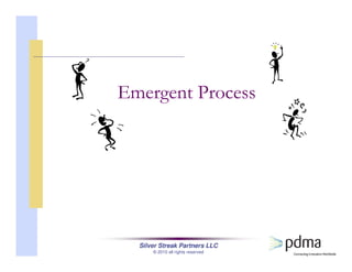 Silver Streak Partners LLC
© 2010 all rights reserved
Emergent Process
 