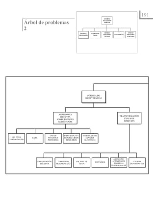 191
                                                                                              D ETERIORO


               Árbol de problemas
                                                                                             D LACA A
                                                                                              E      LID D
                                                                                              A BIEN L
                                                                                                M TA



               2
                                                                 PERD AD
                                                                     ID E     DETERIO D
                                                                                     RO EL     D SID D
                                                                                                EN A                          CO SU O
                                                                                                                                N M
                                                                                             D O RÁ
                                                                                              EM G FICA      CO TA IN CIÓ
                                                                                                               N M A N      IN STEN
                                                                                                                              SO    IBLE
                                                               BIO IV
                                                                  D ERSID D
                                                                         A       PA JE
                                                                                   ISA
                                                                                               EXCESIVA                     D RECU S
                                                                                                                              E    RSO




                                                                         PÉRDIDA DE
                                                                       BIODIVERSIDAD




                                          AGRESIONES
                                           DIRECTAS                                                                TRANSFORMACIÓN
                                         SOBRE ESPECIES                                                               FÍSICA DE
                                          AUTÓCTONAS                                                                  HÁBITATS




                                   USO DE     SOBRE EXPLOTA-       INTRODUCCIÓN
  CULTIVOS        CAZA           VENENOS Y    CIÓN RECURSOS           ESPECIES
TRANSGÉNICOS                     PESTICIDAS     PESQUEROS            ALÓCTONAS




                                                                                                            ABANDONO
                         URBANIZACIÓN    TERRITORIO       ESCASEZ DE                                       ACTIVIDADES              EXCESO
                                                                                   INCENDIOS
                           EXCESIVA     FRAGMENTADO          AGUA                                           AGRARIAS             DE VISITANTES
                                                                                                          TRADICIONALES
 
