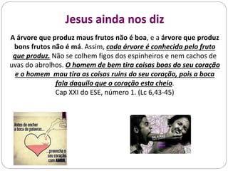 Jesus ainda nos diz
A árvore que produz maus frutos não é boa, e a árvore que produz
bons frutos não é má. Assim, cada árvore é conhecida pelo fruto
que produz. Não se colhem figos dos espinheiros e nem cachos de
uvas do abrolhos. O homem de bem tira coisas boas do seu coração
e o homem mau tira as coisas ruins do seu coração, pois a boca
fala daquilo que o coração esta cheio.
Cap XXI do ESE, número 1. (Lc 6,43-45)
 