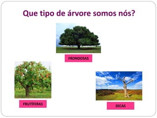 Que tipo de árvore somos nós?
FRONDOSAS
FRUTÍFERAS SECAS
 