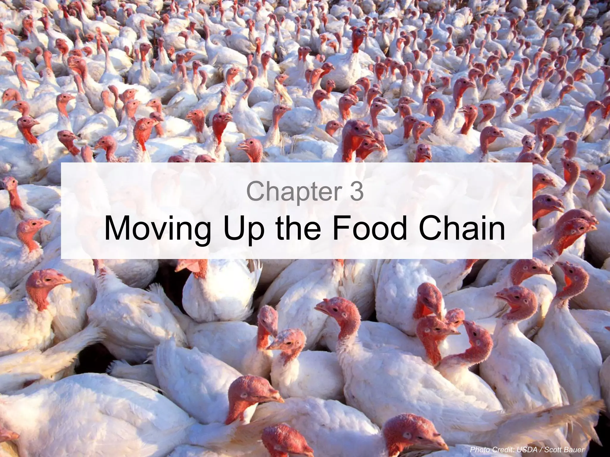 Chapter 3
Moving Up the Food Chain




                     Photo Credit: USDA / Scott Bauer
 