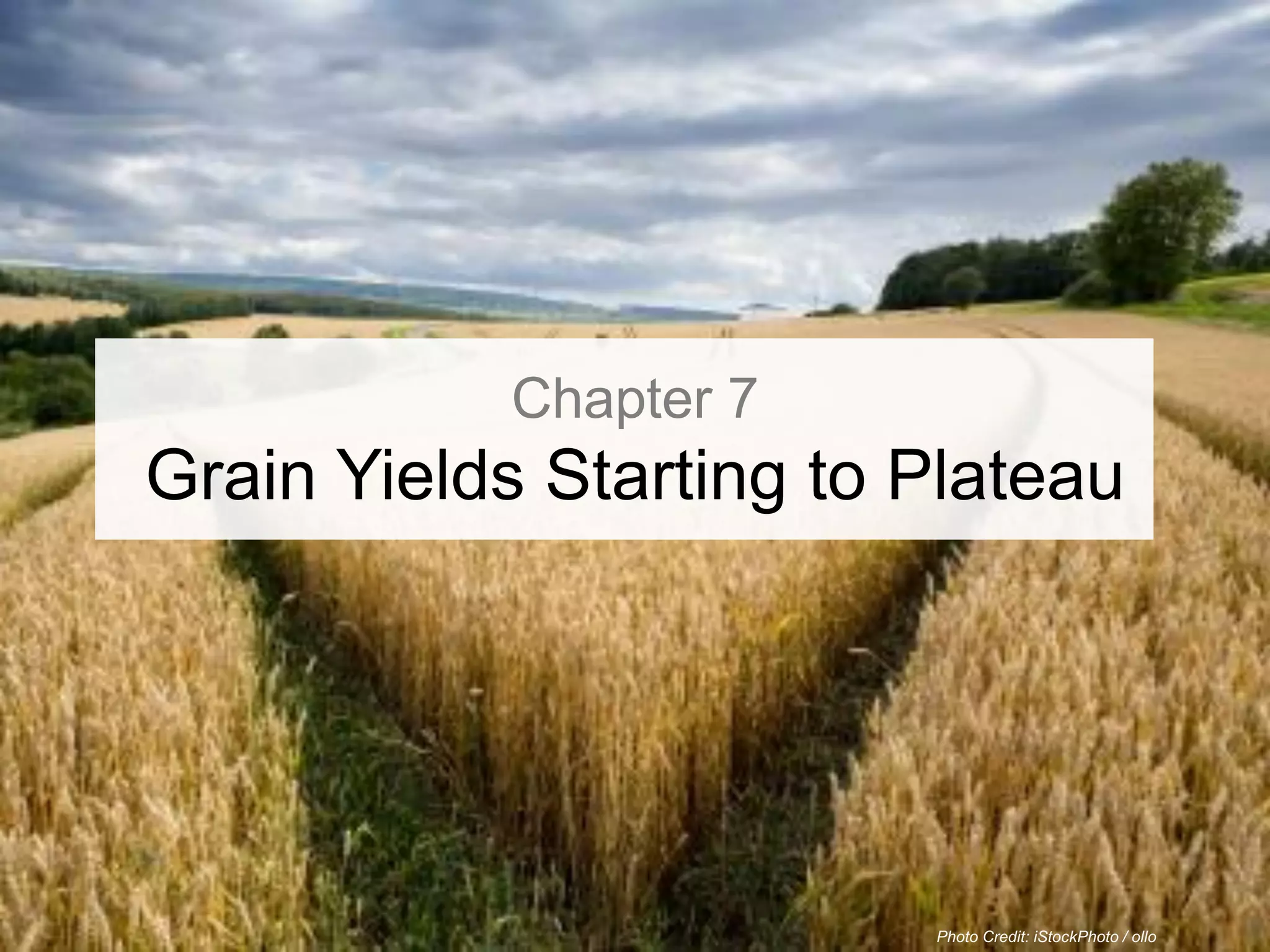 Chapter 7
Grain Yields Starting to Plateau




                         Photo Credit: iStockPhoto / ollo
 