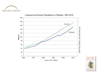 Livestock and Human Populations in Pakistan, 1961-2010
           200

           180
                                    ...