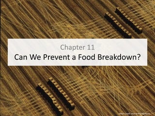 Chapter 11
Can We Prevent a Food Breakdown?




                          Photo Credit: Yann Arthus-Bertrand
 