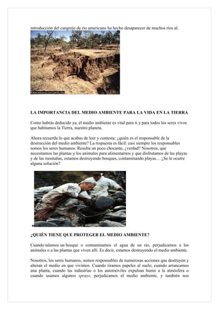 introducción del cangrejo de río americano ha hecho desaparecer de muchos ríos al.




LA IMPORTANCIA DEL MEDIO AMBIENTE PARA LA VIDA EN LA TIERRA

Como habrás deducido ya, el medio ambiente es vital para ti y para todos los seres vivos
que habitamos la Tierra, nuestro planeta.

Ahora recuerda lo que acabas de leer y contesta: ¿quién es el responsable de la
destrucción del medio ambiente? La respuesta es fácil: casi siempre los responsables
somos los seres humanos. Resulta un poco chocante, ¿verdad? Nosotros, que
necesitamos las plantas y los animales para alimentarnos y que disfrutamos de las playas
y de las montañas, estamos destruyendo bosques, contaminando playas… ¿Se te ocurre
alguna solución?




¿QUIÉN TIENE QUE PROTEGER EL MEDIO AMBIENTE?

Cuando talamos un bosque o contaminamos el agua de un río, perjudicamos a los
animales o a las plantas que viven allí. Es decir, estamos destruyendo el medio ambiente.

Nosotros, los seres humanos, somos responsables de numerosas acciones que destruyen y
alteran el medio en que vivimos. Cuando tiramos papeles al suelo, cuando arrancamos
una planta, cuando las industrias o los automóviles expulsan humo a la atmósfera o
cuando usamos algunos sprays, perjudicamos el medio ambiente, y también nos
 