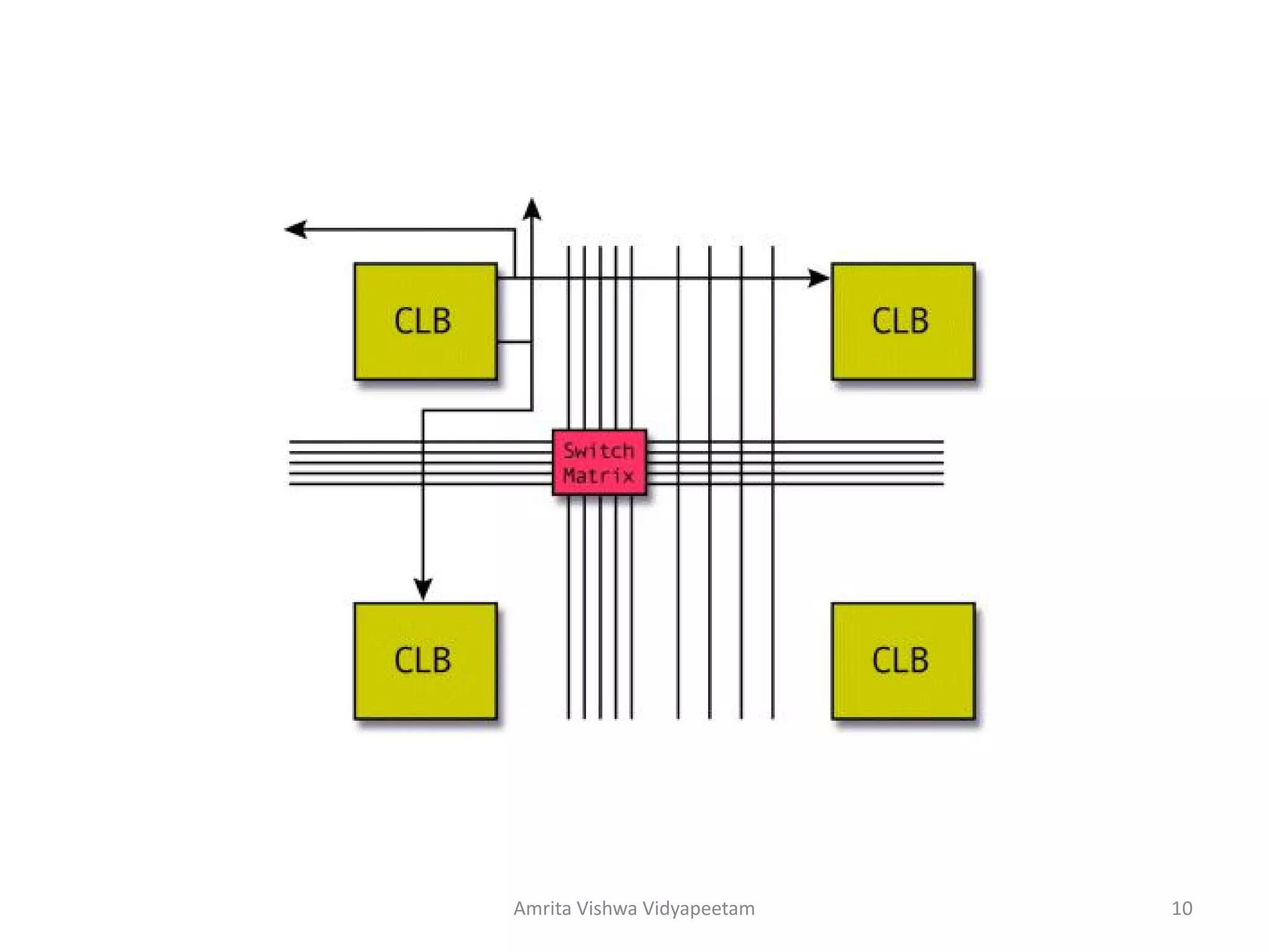 Amrita Vishwa Vidyapeetam 10
 