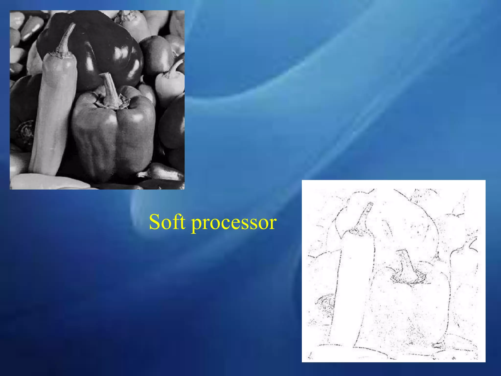 Soft processor
 