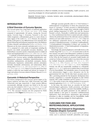 Turmeric Activity Turmeric and Its Major Compound Curcumin on Health: Bioactive Effects ...
