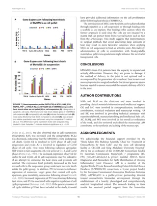 Kalamegam et al. Heat Shock and MSC Viability
FIGURE 7 | Gene expression proﬁle (QRT-PCR) of BCL2, BAX, P53,
HSP70, TNF-α, CYCLIN A2, and CYCLIN E2 of hBMMSCs exposed to
heat shock either as cell pellet (A) or cell suspension (B). Upregulation of
apoptotic, cell cycle, inﬂammation and heat shock related genes in hBM-MSCs
cell suspension (B) compared to cell pellet (A) indicate that individual cells (B)
were easily affected by heat shock compared to cell pellet (A). Data analysis
and relative quantitation were performed using the comparative Ct method
( Ct). The differences in gene expression levels were analyzed using
student’s t-test. Asterisks (*) indicate statistical signiﬁcance at p < 0.05.
Dolan et al., 2015). We also observed that in cell suspensions
proapoptotic BAX was increased and the antiapoptotic BCL2
was decreased, indicating that the hBMMSCs were undergoing
cell death. Cyclin E2 is involved in G1/S phase of cell cycle
progression and cyclin A2 is involved in regulation of G2/M
phase of cell cycle. Heat stress following radiation upregulate
HSP which in turn augments cell cycle arrest at G1, S, and G2/M
phases (Nitta et al., 1997). The increased expression observed for
cyclin E2 and Cyclin A2 in cell suspensions may be indicative
of an attempt to overcome the heat stress and promote cell
survival. The expression level probably decreased as the heat
stressed cells in the suspension group underwent necrotic death
unlike the pellet group. In addition, P53 is known to inﬂuence
expression of numerous target genes that control cell cycle,
apoptosis, gene instability, senescence following stress (Morselli
et al., 2008). Increased expression of P53 was observed following
heat stress, and P53 is associated with negative regulation of cell
cycle progression (Reisman et al., 2012). If the gene expression of
cell cycle inhibitor p21 had been included in the study, it would
have provided additional information on the cell proliferation
ability following heat shock of hBMMSCs.
The introduction of MSCs into the joint can be achieved either
through injection as a cell suspension or through loading onto
a scaﬀold as an implant. Our ﬁndings oﬀer caution when the
former approach is used since the cells are not encased by a
matrix that can protect them from external factors such as heat
from the arthroscope. This study suggests that improvizations
in surgical methods that avoid generating large amounts of
heat may result in more favorable outcomes when applying
MSCs in cell suspension to treat an arthritic joint. Alternatively,
administration of cells in combination with biodegradable
materials as pellets/encapsulations might enhance the survival of
transplanted cells.
CONCLUSIONS
hBMMSCs from OA patients have the capacity to expand and
actively diﬀerentiate. However, they are prone to damage if
the method of delivery to the joint is not optimal and is
accompanied by the generation of excess heat. Less invasive and
more cytoprotective surgical methods that do not generate excess
heat are needed to ensure successful therapeutic delivery of MSCs
to the joint.
AUTHOR CONTRIBUTIONS
MAb and MAl are the clinicians and were involved in
providing clinical materials/information and intellectual support.
GK and MG were involved in conceptualization, intellectual
contribution, statistical evaluation and manuscript writing. HA
and RK was involved in providing technical assistance with
experimental work, manuscript editing and intellectual help. AA,
AC, MAQ, and WK were involved in the overall co-ordination
of the work, and also reviewed and edited the manuscript. AM
contributed to the synthesis and editing of the manuscript.
ACKNOWLEDGMENTS
We acknowledge the ﬁnancial support provided by the
“Sheik Salem Bin Mahfouz Scientiﬁc Chair for Treatment of
Osteoarthritis by Stem Cells” and the stem cell laboratory
facility at CEGMR and King Abdulaziz University Hospital’.
AM is the co-ordinator of the D-BOARD Consortium funded
by European Commission Framework 7 programme (EU
FP7; HEALTH.2012.2.4.5-2, project number 305815, Novel
Diagnostics and Biomarkers for Early Identiﬁcation of Chronic
Inﬂammatory Joint Diseases). AM is a member of the
Applied Public-Private Research enabling OsteoArthritis Clinical
Headway (APPROACH) consortium, a 5-year project funded
by the European Commission’s Innovative Medicines Initiative
(IMI). APPROACH is a public-private partnership directed
toward osteoarthritis biomarker development through the
establishment of a heavily phenotyped and comprehensively
analyzed longitudinal cohort. The research leading to these
results has received partial support from the Innovative
Frontiers in Physiology | www.frontiersin.org 10 May 2016 | Volume 7 | Article 180
 