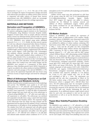 Kalamegam et al. Heat Shock and MSC Viability
osteonecrosis (Augustin et al., 2012). The aim of this study
was to investigate the impact of temperature changes associated
with arthroscopic procedures on cellular activity and/or survival
in suspension and pellet cultures of human bone marrow
mesenchymal stem cells (hBMMSCs), which are increasingly
studied as a promising cell source for cartilage regeneration.
MATERIALS AND METHODS
Derivation and Propagation of hBMMSCs
Bone marrow aspirates were harvested from the iliac crest of
OA patients undergoing surgical treatment in the Department
of Orthopedics, King Abdulaziz University Hospital, Jeddah,
Kingdom of Saudi Arabia. Prior to sample collection informed
patient consent was obtained and the research study was carried
out following Institutional Research Ethics Committee approval
[11–557]. hBMMSCs were isolated using earlier published
protocols (Brady et al., 2014). Brieﬂy, the bone marrow aspirate
(5–6 ml) was collected in heparinized tubes (Becton Dickinson,
BD) and directly plated into tissue culture ﬂasks (∼2 ml of
aspirate/T175 cm2 ﬂask; Greiner) and cultured using Dulbeccos’s
modiﬁed Eagle’s medium (Sigma), supplemented with 10% fetal
bovine serum (Sigma), 2 mM Gluta-Max (Life Technologies)
and antibiotic solution (penicillin, 100 u/mL; streptomycin
100 µg/mL - Sigma) under standard culture conditions of 37◦C
and 5% carbon dioxide (CO2) in atmospheric air for 5–7 days.
The ﬁrst media change was carried out on day 5 and subsequently
every 2 or 3 days until subculture. Dead/suspended cells and
cellular debris were washed away with media changes and the
hBMMSCs were retained as a consequence of their plastic
adherence. Basic ﬁbroblast growth factor (bFGF; Peprotech) at
5 ng/mL was added to the culture medium to facilitate hBMMSCs
expansion and early passages of the derived hBMMSCs (<P5)
were used in the experiment Expanded cells were frozen using
ProFreeze (Lonza) in liquid nitrogen and stored for subsequent
use.
Effect of Arthroscope Temperature on Cell
Morphology and Metabolic Activity
Baseline characterization included assessment of cell morphology
and survival. The hBMMSCs were seeded in 24 well tissue
culture plates at 2 × 104 cells/well. Cell morphology and their
metabolic activity were analyzed using phase contrast microscopy
and MTT assay respectively. To study the eﬀect of temperature
related changes that may result with use of the arthroscope in
a clinical setting hBMMSCs (1 × 106 cells) were used either as
cell suspensions or cell pellets. The arthroscope was sterilized
and suspended vertically down using a stand with ﬁxed clamp
and placed within the biosafety cabinet. The suspension height
of the arthroscope from the clamp was kept constant and the
illuminated end was placed into the medium (10 mL) containing
cell suspensions or cell pellets in 50 mL graduated Falcon tubes.
The samples from both cell suspension and cell pellet groups
were exposed for 10 min (Group A), 20 min (Group B), or 30 min
(Group C). The cell suspensions and pellets were then gently
mixed and 2 × 104 cells/well were seeded in a 24 well plate
and cultured under standard culture conditions of 37◦C in 5%
atmospheric air for 72 h and both cell morphology and metabolic
activity were assessed.
Cellular activity assays were also performed on cells from
all the groups using the MTT kit (3-(4,5-dimethylthiazolyl-
2)-2,5-diphenyltetrazolium bromide; Sigma). Brieﬂy,
10 µL MTT reagent (0.5 mg/mL) was added to cultures,
incubated for 4 h followed by medium removal and
addition of 200 µL solubilization reagent. Culture plates
were further incubated for 2 h and absorbance at 570 nm
(ref 650 nm) was measured using a spectrophotometer
(µQuant; BioTek).
CD Marker Analysis
Cultures of hBMMSCs were analyzed for expression of
MSC related cluster of diﬀerentiation (CD) markers. Brieﬂy,
monolayer cultures of hBMMSCs were dissociated using 0.25%
Trypsin-EDTA (Life Technologies) for 3 min. Trypsin activity
was inhibited by addition of culture medium containing 10%
fetal bovine serum (FBS). The cell suspension was centrifuged
at 300 g × 5 min and the cell pellet was then resuspended
in phosphate buﬀered saline without calcium and magnesium
(PBS-) containing 3% FBS to obtain single cell suspension.
Separate aliquots (2 × 105 cells) were used for MSC isotype
cocktail (Miltenyi Biotec), MSC phenotyping cocktail (Miltenyi
Biotec) or in combination with other primary monoclonal
antibodies (CD44, CD29—BD Pharmingen) to avoid interference
with same ﬂuorochromes. The MSC isotype cocktail comprised
of ﬂuorochrome conjugated monoclonal antibodies, namely
mouse IgG1-FITC, mouse IgG1-PE, mouse IgG1-APC, mouse
IgG1-PerCp and mouse IG2a-PerCp. The MSC phenotyping
cocktail comprised of both positive (CD73-APC, CD90-FITC,
CD105-PE) and negative (CD34/CD45/CD14/CD20-PerCp)
ﬂuorochrome conjugated monoclonal antibodies. The cells
were incubated with respective antibodies at 1:10 dilution
for 15 min at 4◦C; then washed with 1 mL of 3% FBS
and centrifuged at 300 g × 5 min. The supernatant was
discarded and the cells were resuspended in 500 µl of 3%
FBS before analysis using a FACS Aria III instrument (BD
BioSciences), which is equipped with a 488 nM (blue) laser
and a 561-nM (yellow-green) laser for uncoupled excitation
and detection of FITC and PE ﬂuorochromes. In addition to
increasing the sensitivity of PE detection, this set-up eliminated
the PE-FITC spill over, thereby eliminating the need for
compensation. As an additional measure, single-stained control
tubes for each color was analyzed to rule out the need for
compensation as well as set up the detection range for each
ﬂuorochrome.
Trypan Blue Viability/Population Doubling
Time
The hBMMSCs were seeded at 2 × 104 cells/well in a 24 well
plate and cultured for up to 3 days to determine cell viability
and population doubling time (PDT). The cells were trypsinized
daily at the same time and the live/dead cell counts were obtained
following trypan blue vital staining. Three replicates were carried
out for each sample. PDT (http://www.doubling-time.com) was
Frontiers in Physiology | www.frontiersin.org 3 May 2016 | Volume 7 | Article 180
 