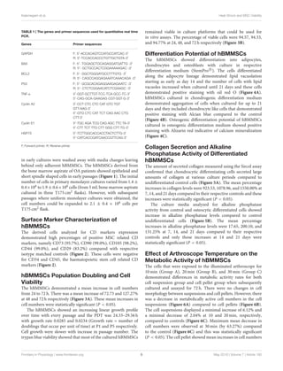 Kalamegam et al. Heat Shock and MSC Viability
TABLE 1 | The genes and primer sequences used for quantitative real time
PCR.
Genes Primer sequences
GAPDH F: 5′-ACCACAGTCCATGCCATCAC-3′
R: 5′-TCCACCACCCTGTTGCTGTA-3′
BAX F: 5′- TGGAGCTGCAGAGGATGATTG -3′
R: 5′- GCTGCCACTCGGAAAAAGAC -3′
BCL2 F: 5′- GGCTGGGATGCCTTTGTG -3′
R: 5′- CAGCCAGGAGAAATCAAACAGA -3′
P53 F: 5′- GCGCACAGAGGAAGAGAATC -3′
R: 5′- CTCTCGGAACATCTCGAAGC -3′
TNF-α 5′-GGT-GCTTGT-TCC-TCA-GCC-TC-3′
5′-CAG-GCA-GAAGAG-CGT-GGT-G-3′
Cyclin A2 5′-CCT CTC CTC CAT GTC TGT
GTT-AAG-3′
5′-GTG CTC CAT TCT CAG AAC CTG
CTT-3′
Cyclin E1 5′-TGC AGA TCG CAG AGC TTC TA-3′
5′-CTT TCT TTG CTT GGG CTT TG-3′
HSP70 5′-TCTTGGCACCACCTACTCTTG-3′
5′-CATCACCGATCAACCGTTCAG-3′
F, Forward primer; R, Reverse primer.
in early cultures were washed away with media changes leaving
behind only adherent hBMMSCs. The hBMMSCs derived from
the bone marrow aspirate of OA patients showed epitheloid and
short spindle shaped cells in early passages (Figure 1). The initial
number of cells in primary monolayer cultures varied from 1.4 ±
0.4×106 to 1.9 ± 0.6×106 cells (from 5 mL bone marrow aspirate
cultured in three T175 cm2 ﬂasks). However, with subsequent
passages where uniform monolayer cultures were obtained, the
cell numbers could be expanded to 2.1 ± 0.4 × 106 cells per
T175 cm2 ﬂask.
Surface Marker Characterization of
hBMMSCs
The derived cells analyzed for CD markers expression
demonstrated high percentages of positive MSC related CD
markers, namely CD73 (95.7%), CD90 (99.0%), CD105 (98.2%),
CD44 (99.0%), and CD29 (83.2%) compared with respective
isotype matched controls (Figure 2). These cells were negative
for CD34 and CD45, the haematopoietic stem cell related CD
markers (Figure 2).
hBMMSCs Population Doubling and Cell
Viability
The hBMMSCs demonstrated a mean increase in cell numbers
from 24 to 72 h. There was a mean increase of 72.73 and 127.27%
at 48 and 72 h respectively (Figure 3A). These mean increases in
cell numbers were statistically signiﬁcant (P < 0.05).
The hBMMSCs showed an increasing linear growth proﬁle
over time with every passage and the PDT was 24.33–29.56 h
with growth rate 0.0285 and 0.0234 (Growth rate = number of
doublings that occur per unit of time) at P1 and P5 respectively.
Cell growth were slower with increase in passage number. The
trypan blue viability showed that most of the cultured hBMMSCs
remained viable in culture platforms that could be used for
in vitro assays. The percentage of viable cells were 94.57, 94.33,
and 94.77% at 24, 48, and 72 h respectively (Figure 3B).
Differentiation Potential of hBMMSCs
The hBMMSCs showed diﬀerentiation into adipocytes,
chondrocytes and osteoblasts with culture in respective
diﬀerentiation medium (StemPro R
). The cells diﬀerentiated
along the adipocyte lineage demonstrated lipid vacuolation
starting as early as day 14 and the number of cells with lipid
vacuoles increased when cultured until 21 days and these cells
demonstrated positive staining with oil red O (Figure 4A).
hBMMSCs cultured in chondrogenic diﬀerentiation medium
demonstrated aggregation of cells when cultured for up to 21
days and they included chondrocyte like cells that demonstrated
positive staining with Alcian blue compared to the control
(Figure 4B). Osteogenic diﬀerentiation potential of hBMMSCs
cultured in osteogenic diﬀerentiation medium showed positive
staining with Alizarin red indicative of calcium mineralization
(Figure 4C).
Collagen Secretion and Alkaline
Phosphatase Activity of Differentiated
hBMMSCs
The amount of secreted collagen measured using the Sircol assay
conﬁrmed that chondrocytic diﬀerentiating cells secreted large
amounts of collagen at various culture periods compared to
undiﬀerentiated control cells (Figure 5A). The mean percentage
increases in collagen levels were 923.53, 1078.96, and 1550.00% at
7, 14, and 21 days compared to their respective controls and these
increases were statistically signiﬁcant (P < 0.05).
The culture media analyzed for alkaline phosphatase
activity from control and osteocytic diﬀerentiated cells showed
increase in alkaline phosphatase levels compared to control
undiﬀerentiated cells (Figure 5B). The mean percentage
increases in alkaline phosphatase levels were 17.65, 200.10, and
131.25% at 7, 14, and 21 days compared to their respective
controls and only those increases at 14 and 21 days were
statistically signiﬁcant (P < 0.05).
Effect of Arthroscope Temperature on the
Metabolic Activity of hBMMSCs
The cells that were exposed to the illuminated arthroscope for
10 min (Group A), 20 min (Group B), and 30 min (Group C)
demonstrated diﬀerences in metabolic activity rates for both
cell suspension group and cell pellet group when subsequently
cultured and assayed for 72 h. There were no changes in cell
morphology between suspensions and cell pellets. However, there
was a decrease in metabolically active cell numbers in the cell
suspensions (Figure 6A) compared to cell pellets (Figure 6B).
The cell suspensions displayed a minimal increase of 6.12% and
a minimal decrease of 2.04% at 10 and 20 min, respectively,
compared to controls (Figure 6C). Maximum mean decrease in
cell numbers were observed at 30 min (by 63.27%) compared
to the control (Figure 6C) and this was statistically signiﬁcant
(P < 0.05). The cell pellet showed mean increases in cell numbers
Frontiers in Physiology | www.frontiersin.org 5 May 2016 | Volume 7 | Article 180
 