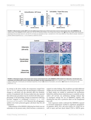 Kalamegam et al. Heat Shock and MSC Viability
FIGURE 3 | Mitochondrial activity (MTT) and cell viability (trypan blue) assay of the human bone marrow mesenchymal stem cells (hBMMSCs). (A)
Cellular activity of the hBMMSCs by MTT assay at 24, 48, and 72 h showing increase in cell numbers with increase in time. (B) Trypan blue viability assay showing the
percentage of live and dead cells at 24, 48, and 72 h. All values are expressed as mean ± standard error of the mean (SEM) from three different samples. Asterisks (*)
indicate statistical signiﬁcance at p < 0.05 compared to respective controls.
FIGURE 4 | Histological images of the human bone marrow mesenchymal stem cells (hBMMSCs) differentiated into adipocytes, chondrocytes and
osteoblasts and stained with oil red O, Alcian blue and Alizarin red stains respectively. (A–C) are the magniﬁed images of the boxed areas from the treated
images of adipocytes, chondrocytes and osteoblasts respectively. Arrows in (A) indicate cell vacuolation, and arrows in (B) indicate the chondrocyte like cells.
Magniﬁcation 10X.
In contrast to the above studies, the temperature ranged from
27.6 to 37.3◦C, indicating that sub-physiological temperature
changes or cold-shock can also adversely aﬀect the metabolic
activity of transplanted cells. Previous studies have also reported
that arthroscopic procedures may be involved with either supra-
physiologic or sub-physiologic changes in temperature following
low-ﬂow irrigation or cryotherapy (Zaﬀagnini et al., 1996;
Horstman and McLaughlin, 2006). Moreover, the cell aggregates
(pellets) were better protected against cold-shock than the cell
suspensions.
Diﬀerentiation of the BMMSCs following heat shock was not
undertaken in the present study, which becomes a constraint to
support our other ﬁndings. This would have provided additional
insights into the functional ability of these cells. Although more
in depth studies are needed to understand the mechanisms
behind the cold/heat shock related decrease in metabolic activity
and/or cell survival, our preliminary ﬁndings indicate that
in autologous settings the use of hBMMSCs together with
chondrocytes may have a protective eﬀect on the transplanted
stem cells.
Gene expression studies conﬁrmed that hBMMSCs exposed
to increased temperatures resulted in signiﬁcant upregulation
of apoptotic (BAX, P53), cell cycle (Cylcin A2, Cyclin E2) as
well as injury and heat shock related (TNF-α, HSP70) genes
Frontiers in Physiology | www.frontiersin.org 8 May 2016 | Volume 7 | Article 180
 