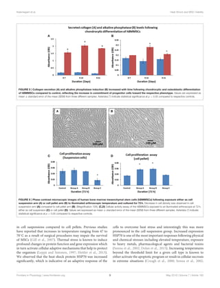 Kalamegam et al. Heat Shock and MSC Viability
FIGURE 5 | Collagen secretion (A) and alkaline phosphatase induction (B) increased with time following chondrocytic and osteoblastic differentiation
of hBMMSCs compared to control, reﬂecting the increase in commitment of progenitor cells toward the respective phenotype. Values are expressed as
mean ± standard error of the mean (SEM) from three different samples. Asterisks (*) indicate statistical signiﬁcance at p < 0.05 compared to respective controls.
FIGURE 6 | Phase contrast microscopic images of human bone marrow mesenchymal stem cells (hBMMSCs) following exposure either as cell
suspension arm (A) or cell pellet arm (B) to illuminated arthroscopic temperature and cultured for 72 h. Decrease in cell density was observed in cell
suspension arm (A) compared to cell pellet arm (B). (Magniﬁcation 10X). (C,D) Cellular activity assay of the hBMMSCs exposed to an illuminated arthroscope at 72 h,
either as cell suspension (C) or cell pellet (D). Values are expressed as mean ± standard error of the mean (SEM) from three different samples. Asterisks (*) indicate
statistical signiﬁcance at p < 0.05 compared to respective controls.
in cell suspensions compared to cell pellets. Previous studies
have reported that increases in temperature ranging from 47 to
70◦C as a result of surgical procedures may impair the survival
of MSCs (Gill et al., 2007). Thermal stress is known to induce
profound changes in protein function and gene expression which
in turn activate cellular adaptive mechanisms that help to protect
the organism (Leppä and Sistonen, 1997; Hettler et al., 2013).
We observed that the heat shock protein HSP70 was increased
signiﬁcantly, which is indicative of an adaptive response of the
cells to overcome heat stress and interestingly this was more
pronounced in the cell suspension group. Increased expression
HSP70 is one of the most important responses following physical
and chemical stresses including elevated temperature, exposure
to heavy metals, pharmacological agents and bacterial toxins
(Sonna et al., 2002; Dolan et al., 2015). Increasing temperatures
beyond the threshold limit for a given cell type is known to
either activate the apoptotic program or result in cellular necrosis
in extreme situations (Creagh et al., 2000; Sonna et al., 2002;
Frontiers in Physiology | www.frontiersin.org 9 May 2016 | Volume 7 | Article 180
 