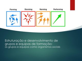 Estruturação e desenvolvimento de
grupos e equipas de formação:
os grupos e equipas como organismos sociais
 