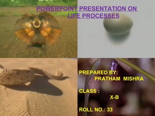 POWERPOINT PRESENTATION ON
LIFE PROCESSES
PREPARED BY:
PRATHAM MISHRA
CLASS :
X-B
ROLL NO.: 33
 
