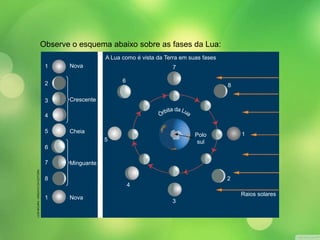 Observe o esquema abaixo sobre as fases da Lua: 
1 
2 
3 
4 
5 
6 
7 
8 
1 
Nova 
Crescente 
Cheia 
Minguante 
Nova 
1 
2 
3 
4 
5 
6 
7 
8 
Raios solares 
A Lua como é vista da Terra em suas fases 
Polo 
sul 
LUIS MOURA / ARQUIVO DA EDITORA 
 