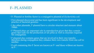 F- PLASMID
 F- Plasmid or fertility factor is a conjugative plasmid of Escherichia coli
 First plasmid discovered and has been significant in the development and
practice of bacterial genetics
 Like other plasmids, F plasmid have a circular structure and measure about
100kb
 F Plasmid plays an important role in reproduction given that they contain
genes that code for the production of sex pilus as well as enzymes required
for conjugation.
 F plasmid also contains genes that are involved in their own transfer,
therefore during conjugation they enhance their own transfer from one cell to
another.
 E.coli containing this F factor are known as F+ and those without are known
as F- .
 