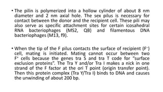 F plasmid organisation | PPTX