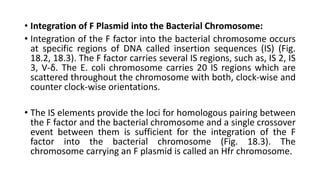 F plasmid organisation | PPTX