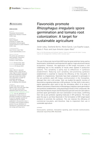 Flavonoids promote
Rhizophagus irregularis spore
germination and tomato root
colonization: A target for
sustainable agriculture
Javier Lidoy, Estefanı́a Berrio, Marta Garcı́a, Luis España-Luque,
Maria J. Pozo and Juan Antonio López-Ráez*
Dept. of Soil Microbiology and Symbiotic Systems, Estación Experimental del Zaidı
´n, Consejo
Superior de Investigaciones Cientíﬁcas (CSIC), Granada, Spain
The use of arbuscular mycorrhizal (AM) fungi has great potential, being used as
biostimulants, biofertilizers and bioprotection agents in agricultural and natural
ecosystems. However, the application of AM fungal inoculants is still
challenging due to the variability of results when applied in production
systems. This variability is partly due to differences in symbiosis
establishment. Reducing such variability and promoting symbiosis
establishment is essential to improve the efﬁciency of the inoculants. In
addition to strigolactones, ﬂavonoids have been proposed to participate in
the pre-symbiotic plant-AM fungus communication in the rhizosphere,
although their role is still unclear. Here, we studied the speciﬁc function of
ﬂavonoids as signaling molecules in AM symbiosis. For that, both in vitro and in
planta approaches were used to test the stimulatory effect of an array of
different subclasses of ﬂavonoids on Rhizophagus irregularis spore germination
and symbiosis establishment, using physiological doses of the compounds. We
show that the ﬂavone chrysin and the ﬂavonols quercetin and rutin were able to
promote spore germination and root colonization at low doses, conﬁrming
their role as pre-symbiotic signaling molecules in AM symbiosis. The results
pave the way to use these ﬂavonoids in the formulation of AM fungal-based
products to promote the symbiosis. This can improve the efﬁciency of
commercial inoculants, and therefore, help to implement their use in
sustainable agriculture.
KEYWORDS
bioinoculants, symbiosis, rhizosphere signaling, plant microbe communication,
arbuscular mycorrhiza (AM), ﬂavonoids
Frontiers in Plant Science frontiersin.org
01
OPEN ACCESS
EDITED BY
Periyasamy Panneerselvam,
National Rice Research Institute
(ICAR), India
REVIEWED BY
Marika Pellegrini,
University of L’Aquila, Italy
Kulandaivelu Velmourougane,
Central Institute for Cotton Research
(ICAR), India
*CORRESPONDENCE
Juan Antonio López-Ráez
juan.lopezraez@eez.csic.es
SPECIALTY SECTION
This article was submitted to
Plant Symbiotic Interactions,
a section of the journal
Frontiers in Plant Science
RECEIVED 09 November 2022
ACCEPTED 14 December 2022
PUBLISHED 05 January 2023
CITATION
Lidoy J, Berrio E, Garcı
´a M,
España-Luque L, Pozo MJ and
López-Ráez JA (2023) Flavonoids
promote Rhizophagus irregularis
spore germination and tomato
root colonization: A target for
sustainable agriculture.
Front. Plant Sci. 13:1094194.
doi: 10.3389/fpls.2022.1094194
COPYRIGHT
© 2023 Lidoy, Berrio, Garcı
´a,
España-Luque, Pozo and López-Ráez.
This is an open-access article
distributed under the terms of the
Creative Commons Attribution License
(CC BY). The use, distribution or
reproduction in other forums is
permitted, provided the original author
(s) and the copyright owner(s) are
credited and that the original
publication in this journal is cited, in
accordance with accepted academic
practice. No use, distribution or
reproduction is permitted which does
not comply with these terms.
TYPE Original Research
PUBLISHED 05 January 2023
DOI 10.3389/fpls.2022.1094194
 