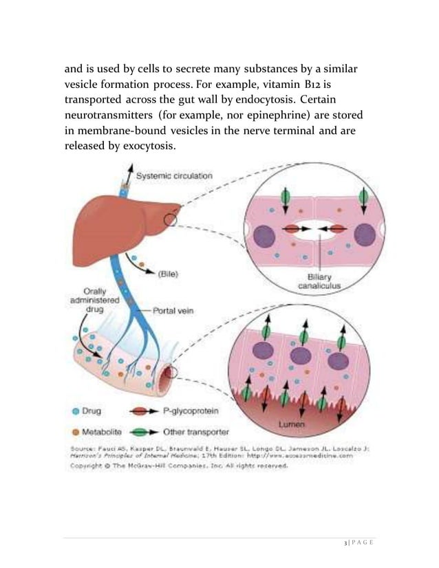 Absorption of Drug and First Pass Mechanism