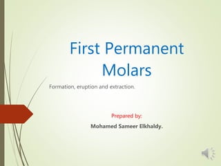 First Permanent
Molars
Formation, eruption and extraction.
Prepared by:
Mohamed Sameer Elkhaldy.
 