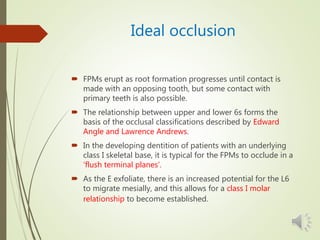 Ideal occlusion
 FPMs erupt as root formation progresses until contact is
made with an opposing tooth, but some contact with
primary teeth is also possible.
 The relationship between upper and lower 6s forms the
basis of the occlusal classifications described by Edward
Angle and Lawrence Andrews.
 In the developing dentition of patients with an underlying
class I skeletal base, it is typical for the FPMs to occlude in a
‘flush terminal planes’.
 As the E exfoliate, there is an increased potential for the L6
to migrate mesially, and this allows for a class I molar
relationship to become established.
 