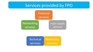 Services provided by FPO
Financial
services
Input supply
services
Marketing
services
Technical
services
Networking
services
 