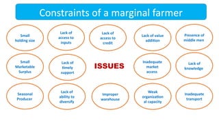 Constraints of a marginal farmer
Small
holding size
Lack of
timely
support
Seasonal
Producer
Weak
organization
al capacity
Lack of
access to
credit
Inadequate
market
access
Presence of
middle men
Small
Marketable
Surplus
Lack of
knowledge
Lack of
access to
inputs
Improper
warehouse
Lack of value
addition
Inadequate
transport
Lack of
ability to
diversify
ISSUES
 