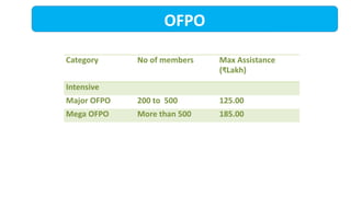 OFPO
Category No of members Max Assistance
(₹Lakh)
Intensive
Major OFPO 200 to 500 125.00
Mega OFPO More than 500 185.00
 