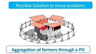 Possible Solution to these problems
Aggregation of farmers through a PO
 