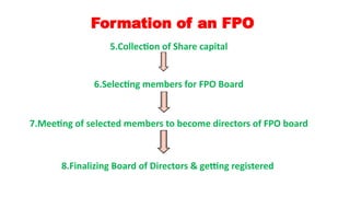Formation of an FPO
5.Collection of Share capital
6.Selecting members for FPO Board
7.Meeting of selected members to become directors of FPO board
8.Finalizing Board of Directors & getting registered
 