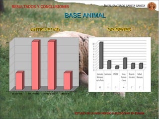 ÁNGEL SANTIAGO GARCÍA GARCÍA RESULTADOS Y CONCLUSIONES ESTUDIO DE LA RAZA MERINO FLEISCHSCHAF EN ESPAÑA   BASE ANIMAL ANTIGÜEDAD ORÍGENES 