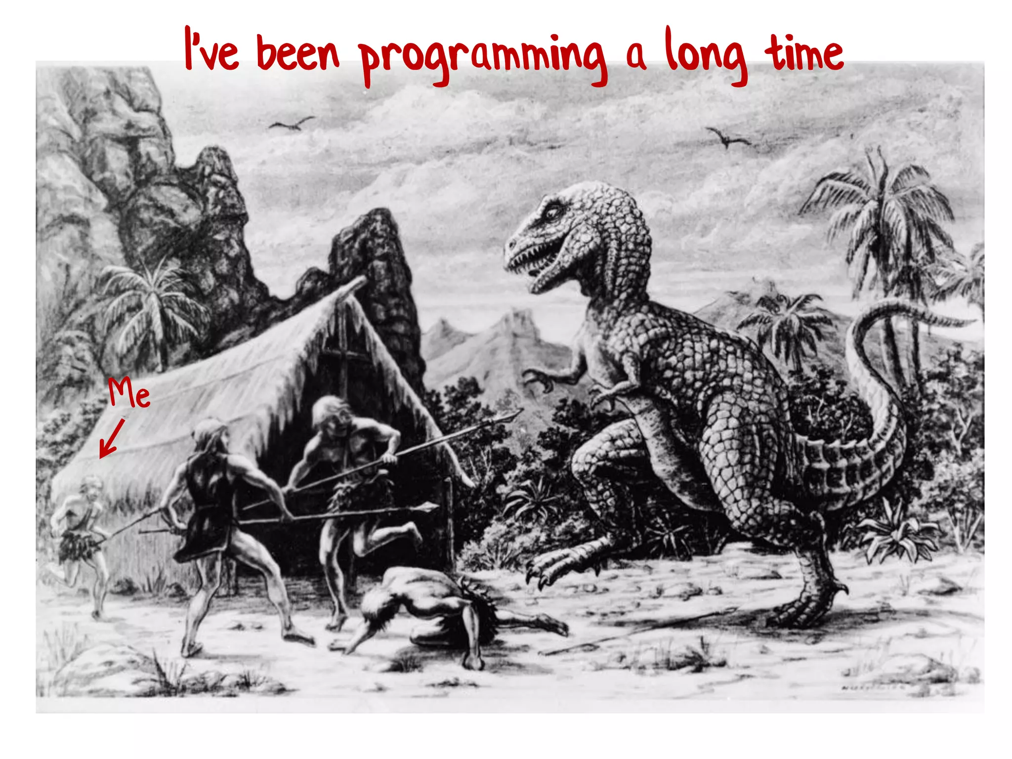 Me
I've been programming a long time
 