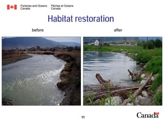 Habitat restoration
before

after

11

 