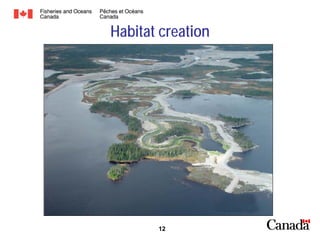 Habitat creation

12

 