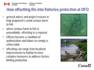 How offsetting fits into fisheries protection at DFO
• general advice and project reviews to
help proponent’s avoid serious harm
to fish
• where serious harm to fish is
unavoidable, offsetting is a required
• Offsets become a condition of
authorization and failure to comply is
enforceable
• offsetting can range from localized
improvements to habitat to more
complex measures to address factors
limiting production

 