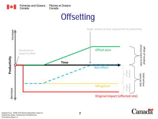 Offsetting
increase

Target: achieve at least original level of productivity

Net effect

decrease

mitigable
effects

Mitigation

Original impact (affected site)

7

total serious
harm to fish

Productivity

Time
residual
effects

Adapted from: ICMM IUCN (2012) Independent report on
biodiversity offsets. Prepared by The Biodiversity
Consultancy.(Figure 1).

offset of residual
serious harm to fish

Offset plan

Simultaneous
impact & offset

 
