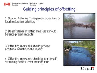 Guiding principles of offsetting
1. Support fisheries management objectives or
local restoration priorities
2. Benefits from offsetting measures should
balance project impacts
3. Offsetting measures should provide
additional benefits to the fishery
4. Offsetting measures should generate selfsustaining benefits over the long term

 