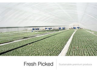 Fresh Picked   Sustainable premium produce
 