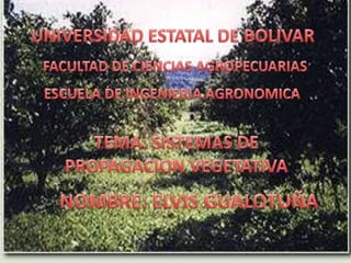 UNIVERSIDAD ESTATAL DE BOLIVAR  FACULTAD DE CIENCIAS AGROPECUARIAS ESCUELA DE INGENIERIA AGRONOMICA TEMA: SISTEMAS DE PROPAGACION VEGETATIVA NOMBRE: ELVIS GUALOTUÑA 