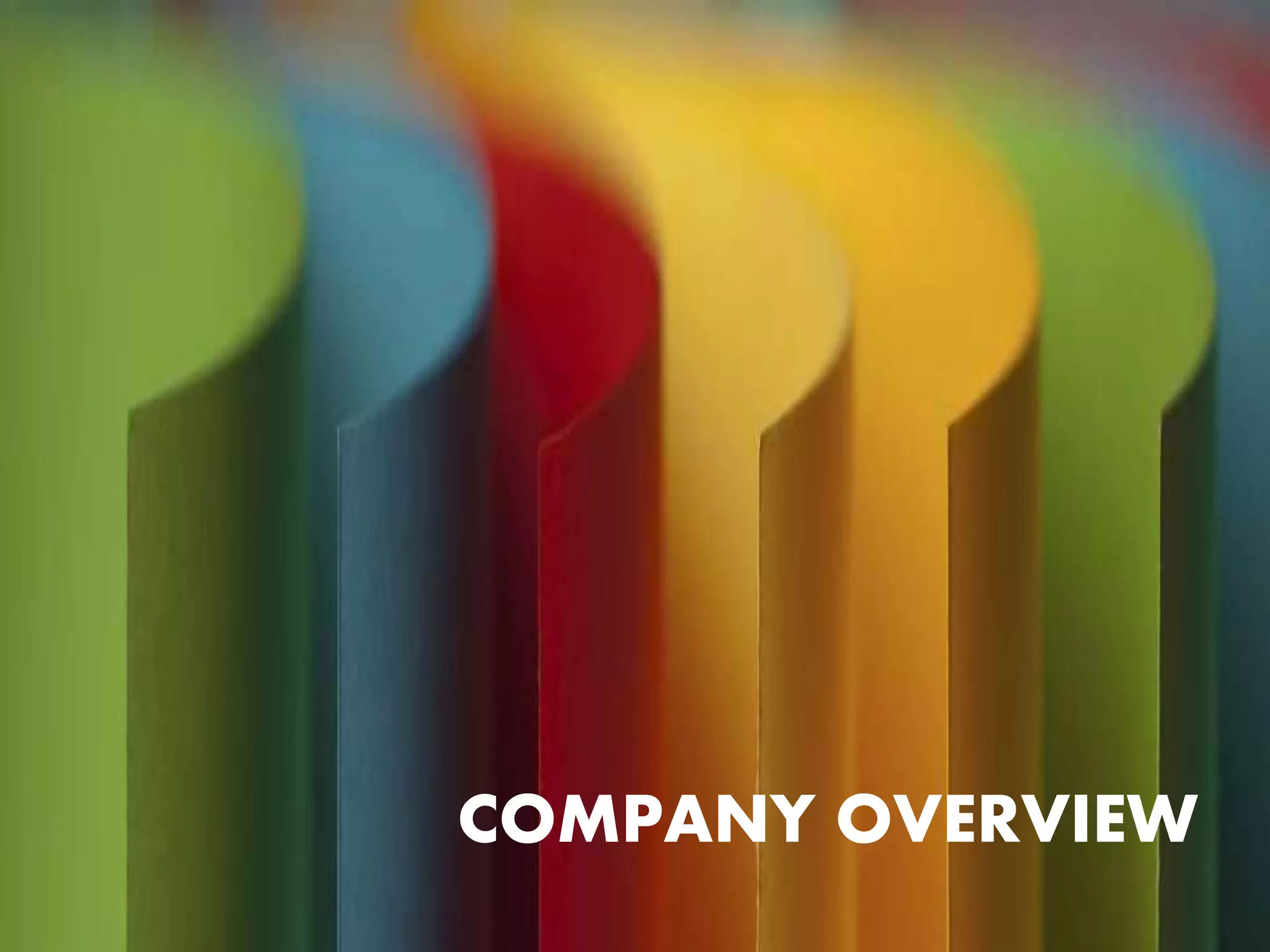 COMPANY OVERVIEW
 