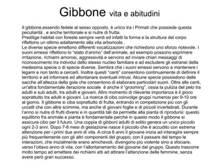 Il gibbone,essendo fedele al sesso opposto, è unico tra i Primati che possiede questa peculiarità , e anche territoriale e si nutre di frutta. Predilige habitat con foreste sempre verdi ed infatti la forma e la struttura del corpo riflettono un ottimo adattamento alla vita arboricola . Le diverse specie emettono differenti vocalizzazioni che richiedono uno sforzo notevole. I suoni emessi riflettono lo “stato d’animo” dell’animale, ad esempio possono esprimere irritazione, richiami amorosi, aggressività e servono ad inviare chiari messaggi di riconoscimento tra individui dello stesso nucleo familiare e ad escludere gli estranei della medesima specie o di specie diverse. Sembra che i suoni emessi servono a mantenere i legami e non tanto a cercarli. Inoltre questi “canti” consentono continuamente di definire il territorio e ad informare ed allontanare eventuali intrusi. Alcune specie possiedono delle sacche all’altezza della gola che consentono di elaborare particolari suoni. Oltre alle canti, un'altra fondamentale iterazione sociale  è anche il “grooming”, ossia la pulizia del pelo tra adulti e sub adulti, tra adulti e giovani. Altro momento di rilevante importanza è il gioco soprattutto tra adulti e giovani. La ricerca di cibo coinvolge gruppi numerosi per 9-10 ore al giorno. Il gibbone si ciba soprattutto di frutta, entrando in competizione più con gli uccelli che con altre scimmie, ma anche di giovani foglie e di piccoli invertebrati. Durante l’anno si nutre di frutti diversi e in quantità tali da permette alla pianta di riprodursi: questo equilibrio fra animale e pianta è fondamentale perché in questo modo il gibbone si assicura cibo per il futuro. Una coppia di gibboni adulti di solito genera un unico piccolo ogni 2-3 anni. Dopo 7-8 mesi di gestazione nasce il piccolo che è accudito con estrema attenzione per i primi due anni di vita. A circa 6 anni il giovane inizia ad interagire sempre più frequentemente con gli altri componenti del gruppo; con il passare del tempo le interazioni, che inizialmente erano amichevoli, divengono più violente sino a sfociare, verso l’ottavo anno di vita, con l’allontanamento del giovane dal gruppo. Questo trascorre molto tempo ad emettere dei richiami atti ad attirare l’attenzione delle femmine, senza avere però gran successo. Gibbone  vita e abitudini 