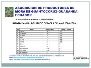 ASOCIACION DE PRODUCTORES DE MORADEGUANTOCCRUZ-GUARANDA- ECUADOR Acuerdo Ministerial Nº 188 del 12 de junio del 2007 INFORME ANUAL DEL PRECIO DE MORA DEL AÑO 2008-2009. DIRECCION: GUANUJO VIA ECHEANDIA, 12 K. TLF.  980565-089660593 º GUARANDA-ECUADOR  Correo: americabel@hotmail.es – americabel_11@yahoo.es Correo electrónico: americabel@hotmail.es  americabel_11@yahoo.es. Lic. Luís Abel Matavaca Jefe de ventas, de Asociación de  Productores de mora. 