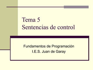 Tema 5 Sentencias de control Fundamentos de Programación I.E.S. Juan de Garay 